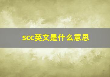 scc英文是什么意思