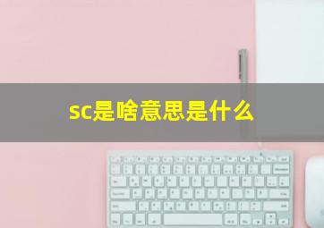 sc是啥意思是什么