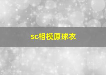 sc相模原球衣