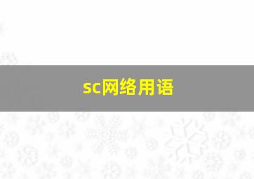 sc网络用语