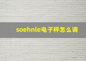 soehnle电子秤怎么调