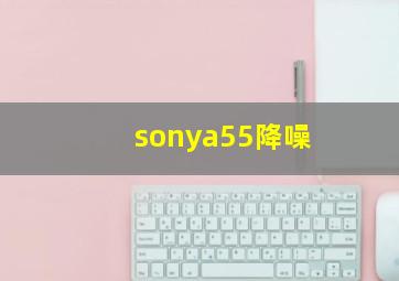 sonya55降噪