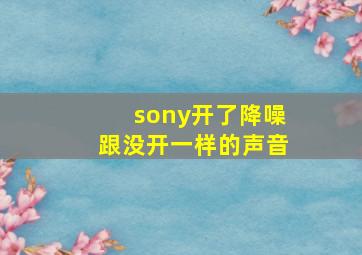 sony开了降噪跟没开一样的声音