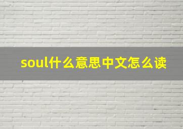 soul什么意思中文怎么读