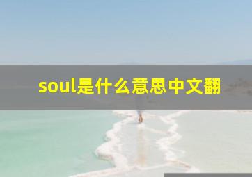 soul是什么意思中文翻