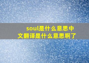 soul是什么意思中文翻译是什么意思啊了