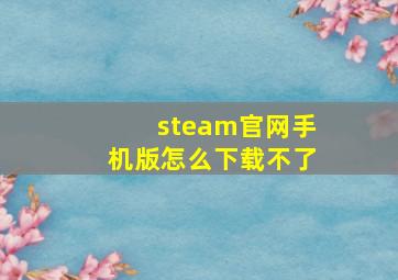 steam官网手机版怎么下载不了