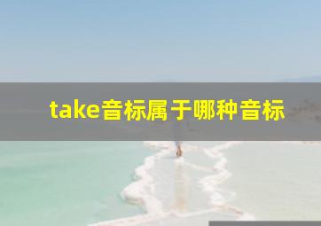 take音标属于哪种音标