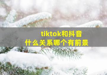 tiktok和抖音什么关系哪个有前景