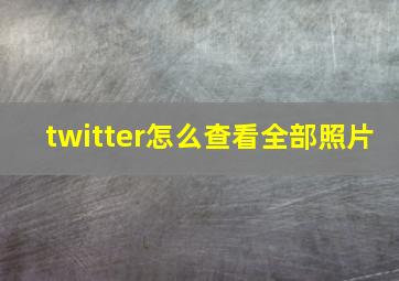 twitter怎么查看全部照片