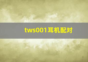 tws001耳机配对