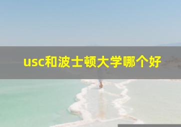 usc和波士顿大学哪个好