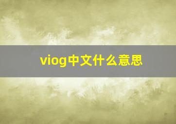 viog中文什么意思