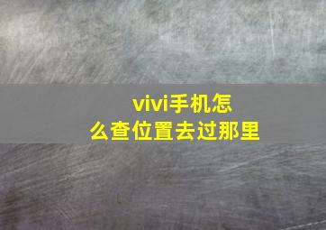 vivi手机怎么查位置去过那里