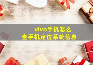 vivo手机怎么查手机定位系统信息