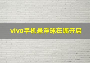 vivo手机悬浮球在哪开启