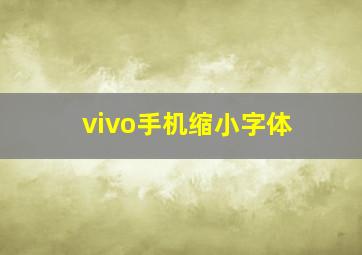 vivo手机缩小字体