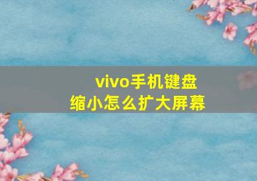 vivo手机键盘缩小怎么扩大屏幕