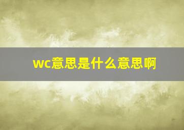 wc意思是什么意思啊