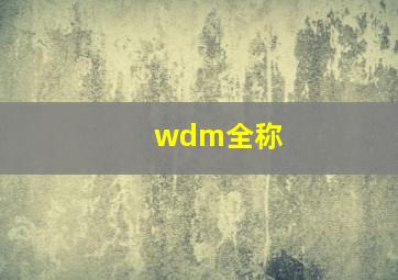 wdm全称