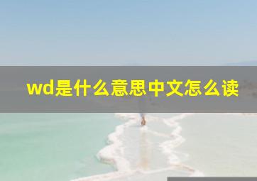 wd是什么意思中文怎么读