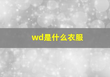 wd是什么衣服