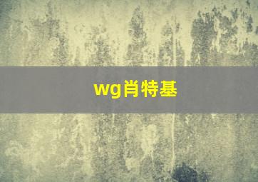 wg肖特基