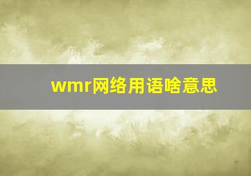 wmr网络用语啥意思