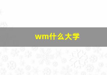 wm什么大学