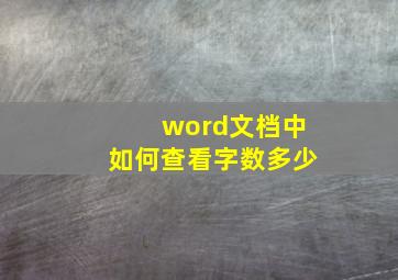 word文档中如何查看字数多少