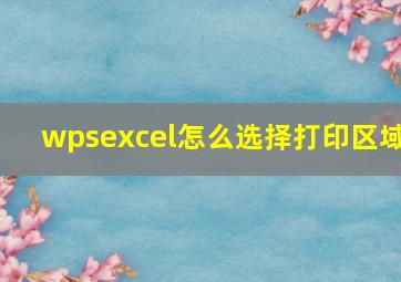 wpsexcel怎么选择打印区域