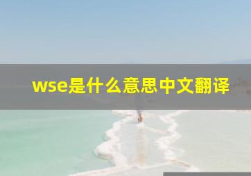 wse是什么意思中文翻译