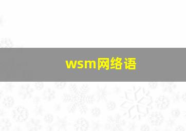 wsm网络语