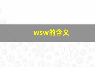 wsw的含义