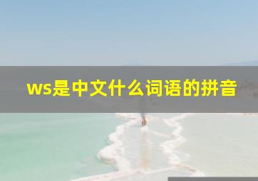 ws是中文什么词语的拼音