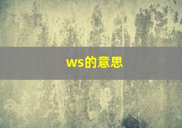 ws的意思