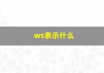 ws表示什么