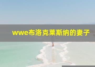 wwe布洛克莱斯纳的妻子