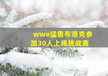 wwe猛兽布洛克参加30人上绳挑战赛