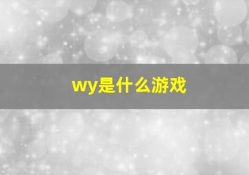 wy是什么游戏