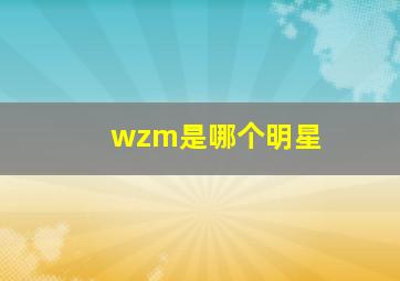 wzm是哪个明星