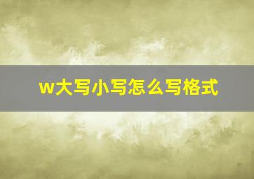 w大写小写怎么写格式