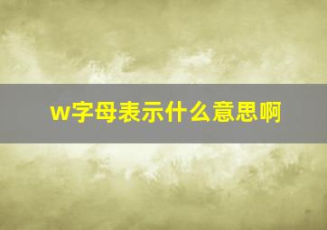 w字母表示什么意思啊