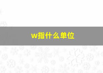 w指什么单位