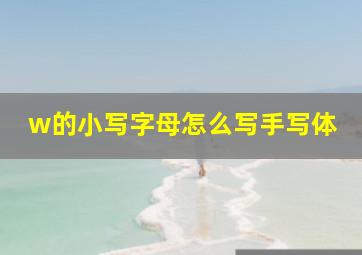 w的小写字母怎么写手写体