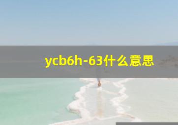 ycb6h-63什么意思