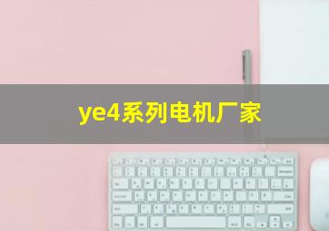 ye4系列电机厂家