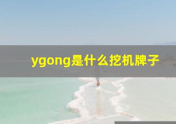 ygong是什么挖机牌子