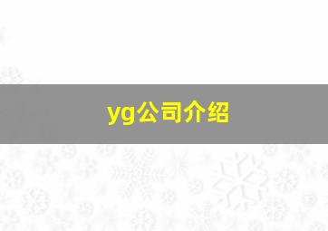 yg公司介绍