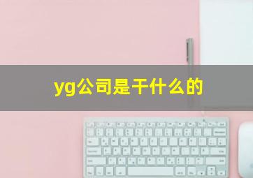 yg公司是干什么的